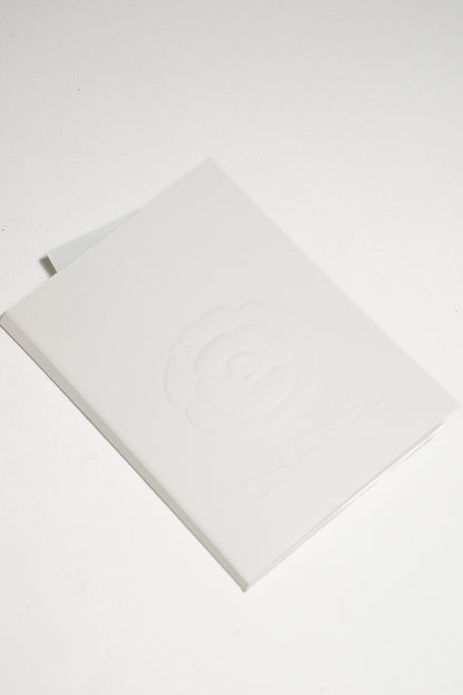 CHANEL 棕石雙c耳環