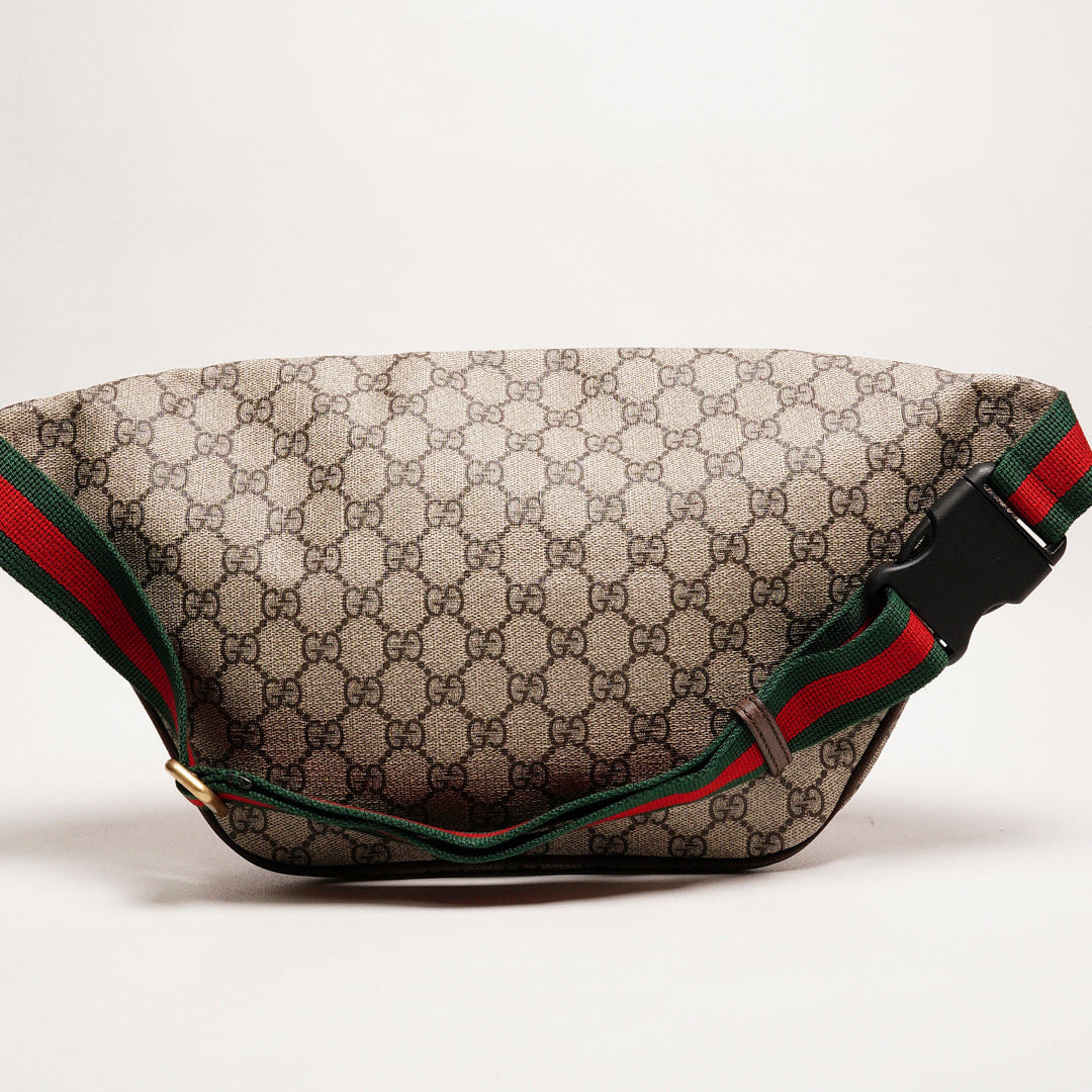 Gucci 塗層帆布刺繡設計腰包