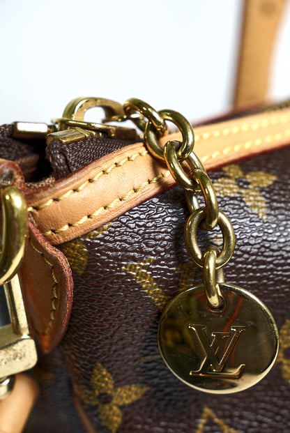 LOUIS VUITTON Palermo GM  Monogram Canvas Brown 托特包