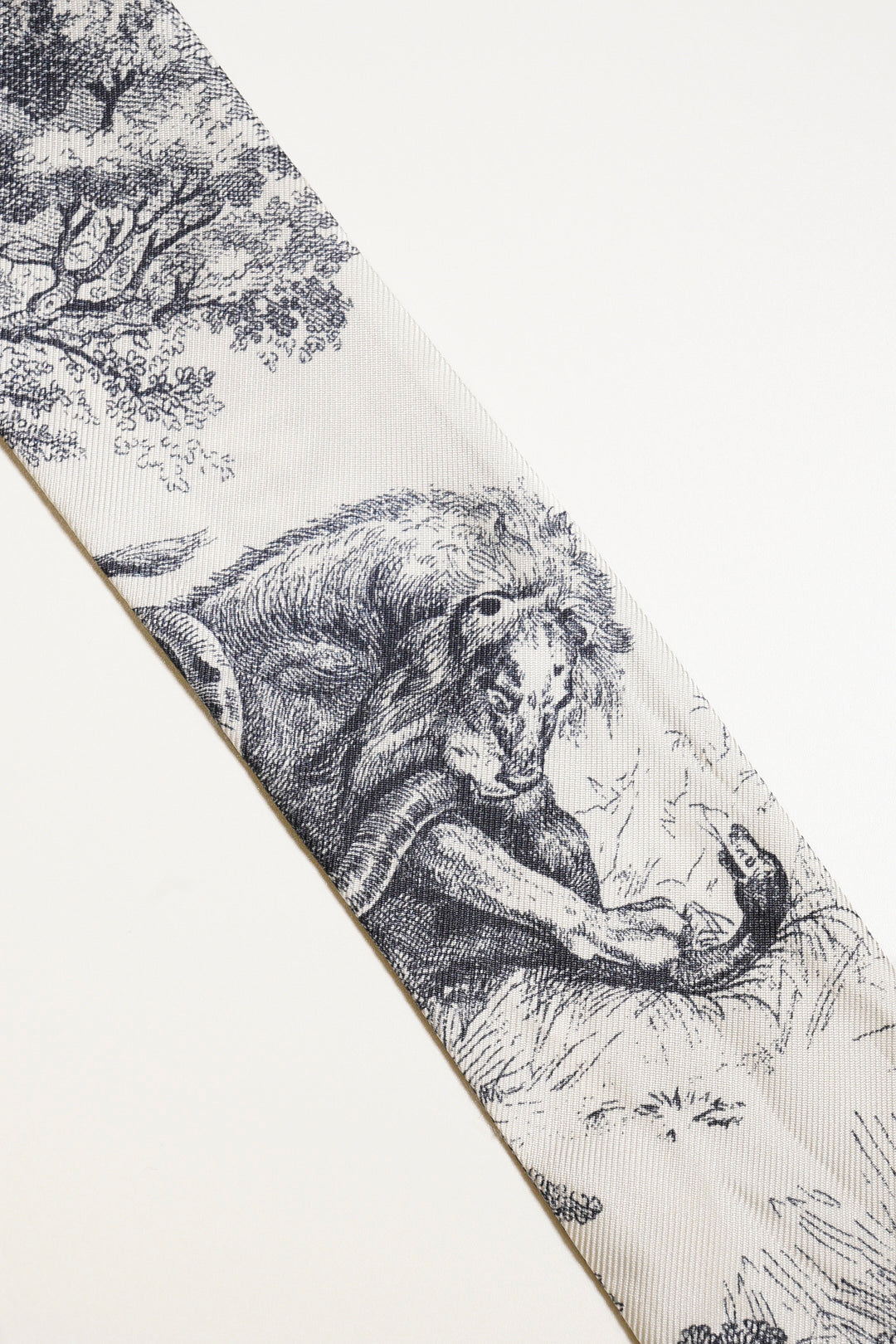 DIOR Toile de Jouy Sauvage 法式印花圖騰 Mitzah 絲巾